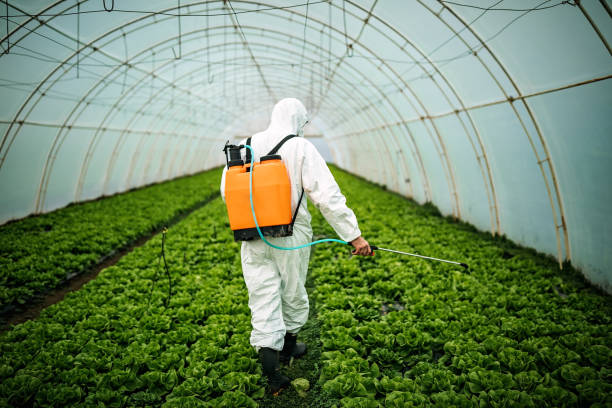Best Residential Pest Control  in Key Vista, FL