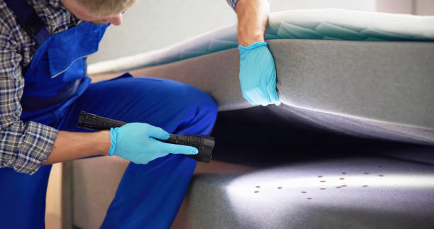 Best Commercial Pest Control Services  in Key Vista, FL